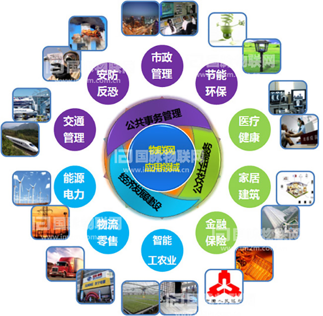 杨冰之：重视物联网在关键产业的应用